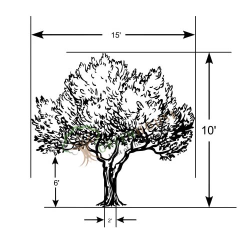 Artificial-Peepal-Tree