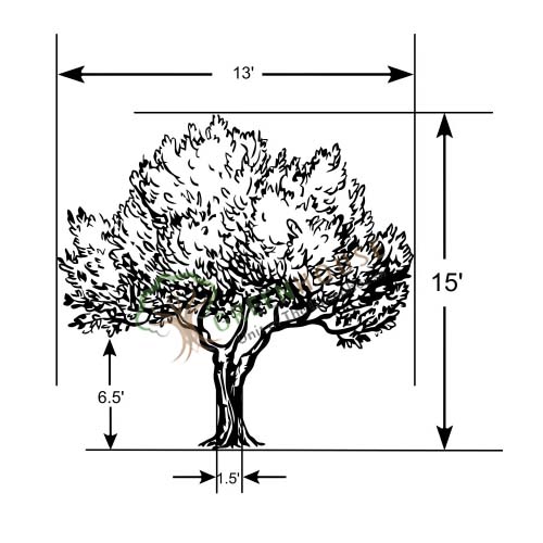 Artificial-Ficus-Tree