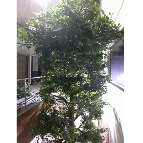 Arificiala Ficus Tree