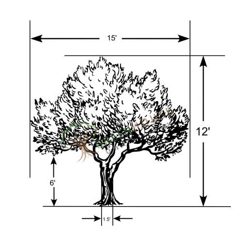 Artificial-Ficus-Tree-6