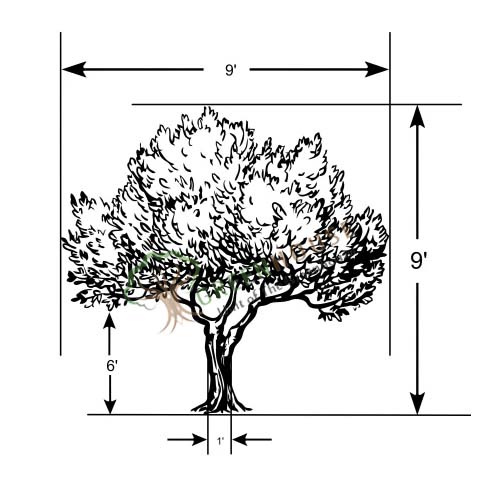 Artificial-Ficus-Tree-2