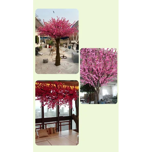 Cherry-Blossom-Tree