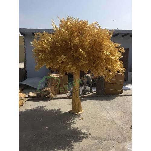 Golden-Ficus-Tree
