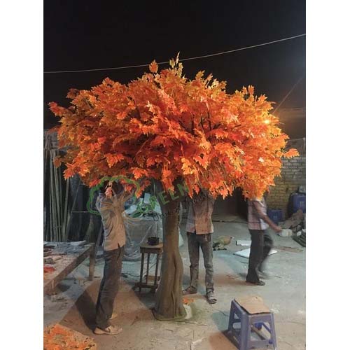 Golden-Maple-Tree