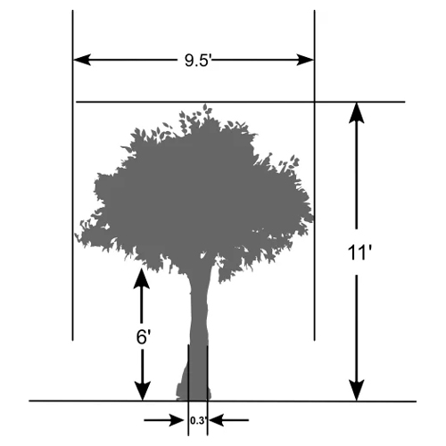 Artificial Ficus Microcapa Tree